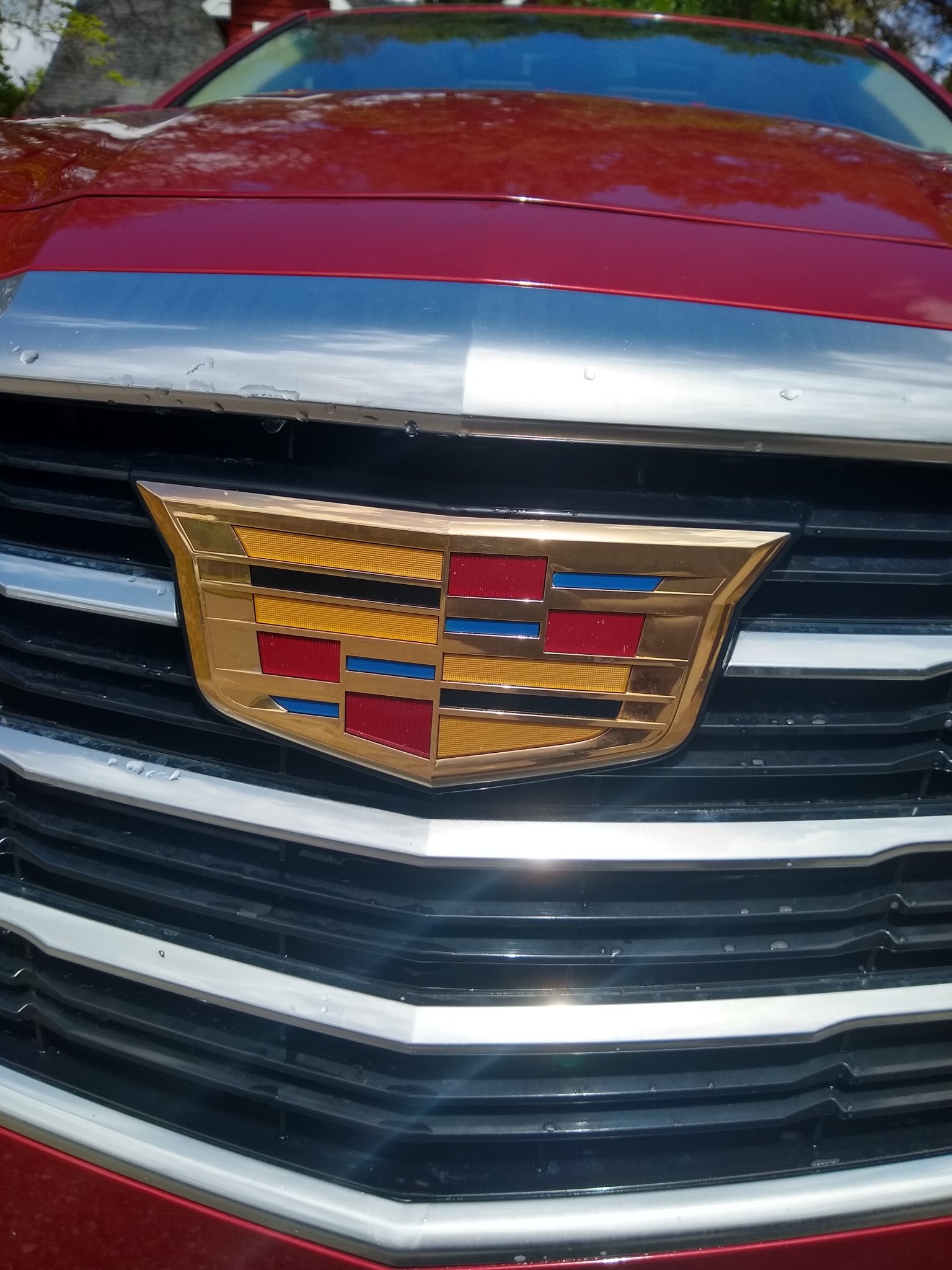 ChromeKarats gold plating work — Chrome & Gold Two-Tone Rim